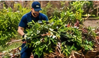 Garden Waste & Clearance